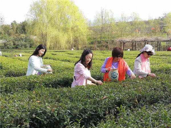 棉麻种植加工