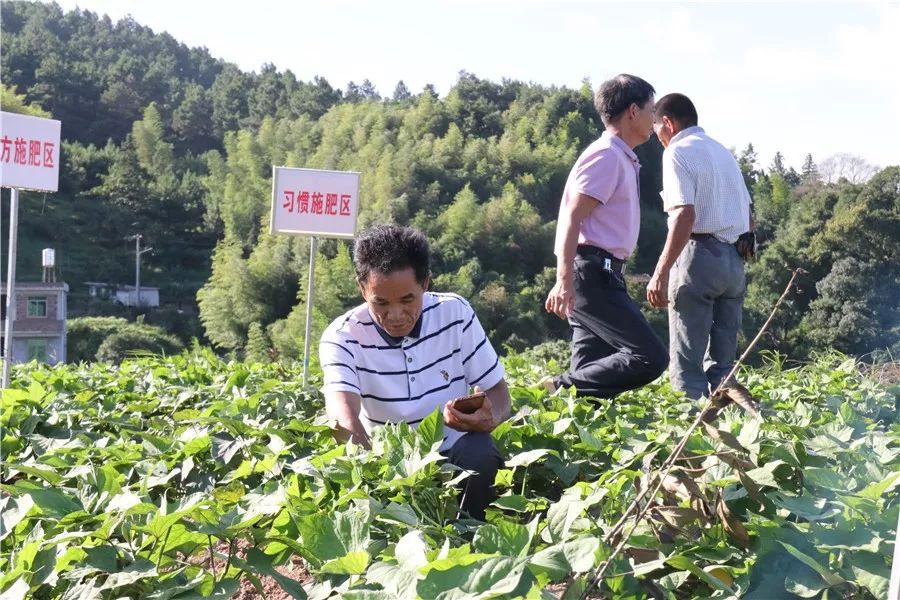 生物农药与肥料