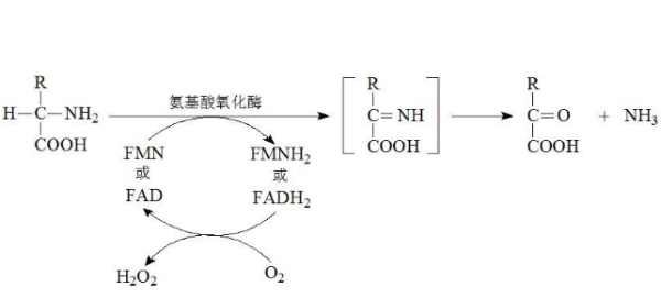 简述助滤剂的作用