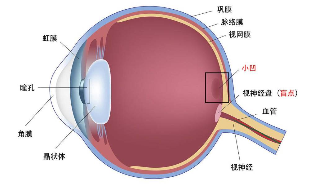 防护镜和面罩的作用