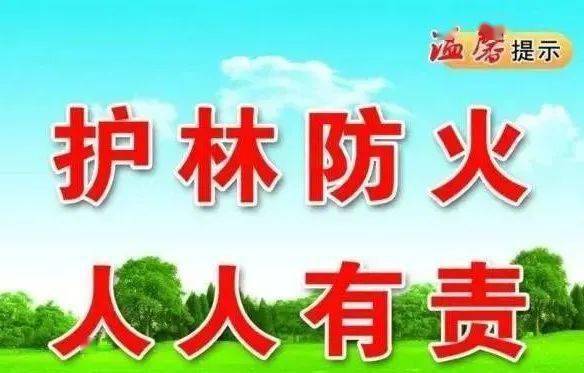 板材防火涂料