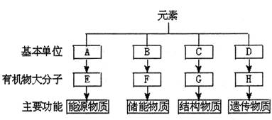 轨道衡由哪些部件组成