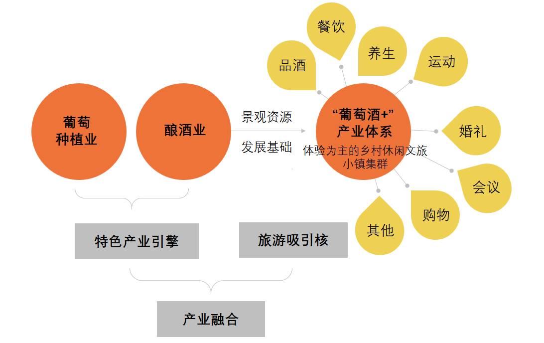 藤木网络怎么样