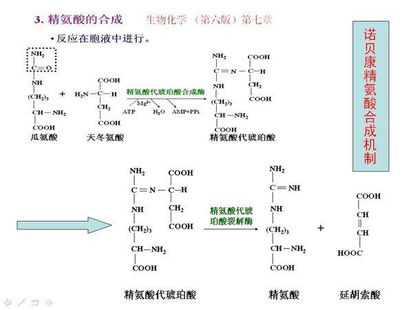 偶氮化合物的合成方法及应用