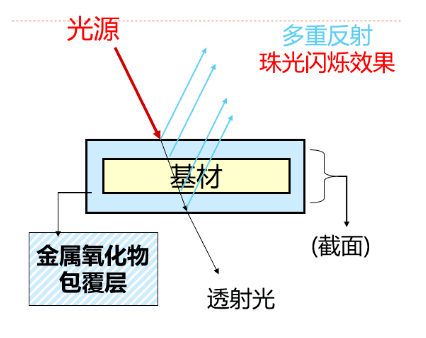 云母是公的还是母的