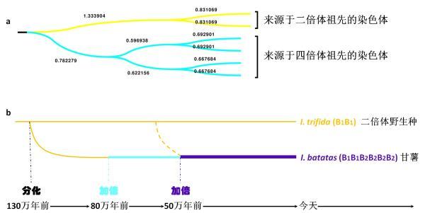 航空障碍灯用途